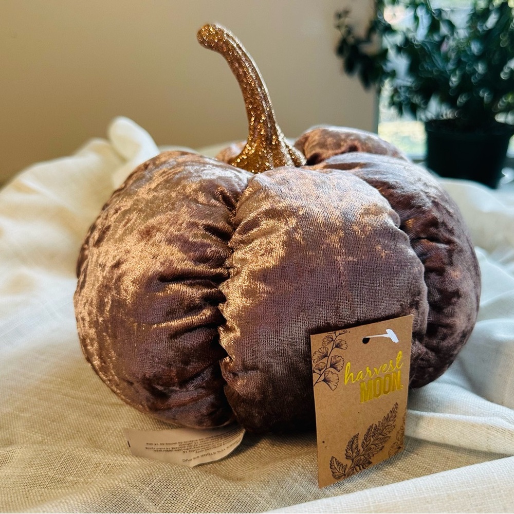 NWT Fall decor, stuffed pumpkin